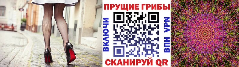 Псилоцибиновые грибы MAGIC MUSHROOMS  Ачхой-Мартан 